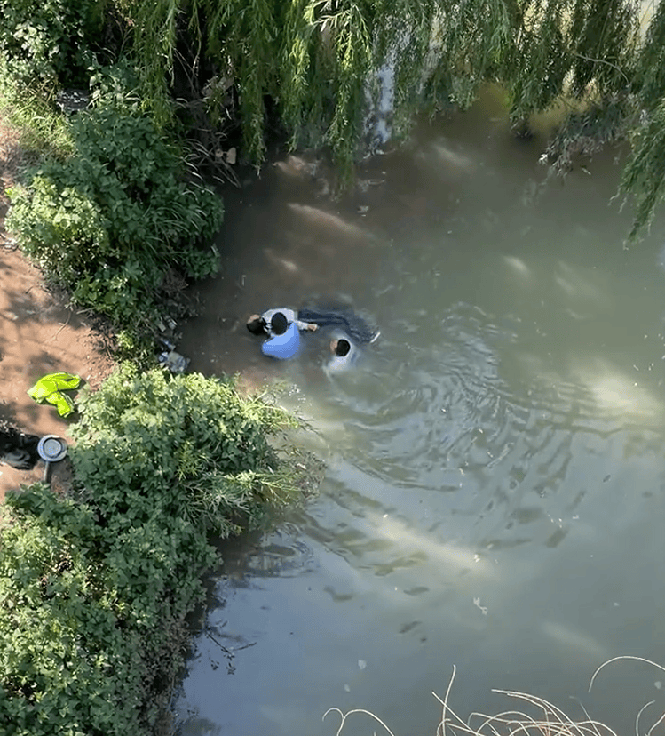 皇冠信用网平台出租_辅警跳河救起轻生女皇冠信用网平台出租，上岸时被红火蚁咬伤：系最危险入侵物种之一，过敏者或致休克