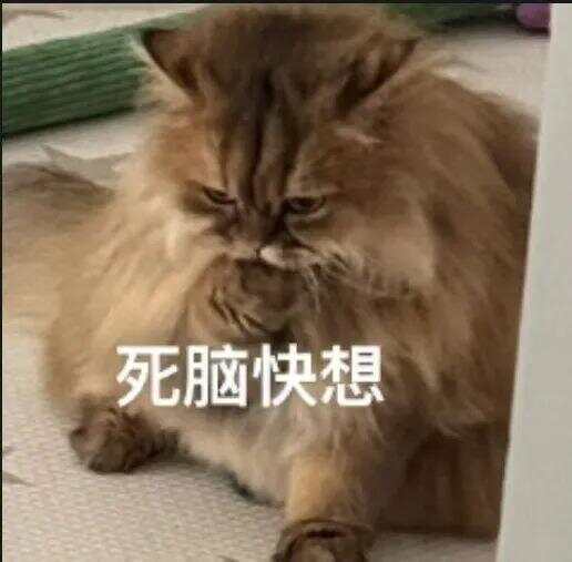 布拉加U23 vs维赛拉U23_79岁老伯为见其相亲对象“翠花”布拉加U23 vs维赛拉U23，将身份证改小10岁 被发现后不忘叮嘱民警“能不能不告诉她”