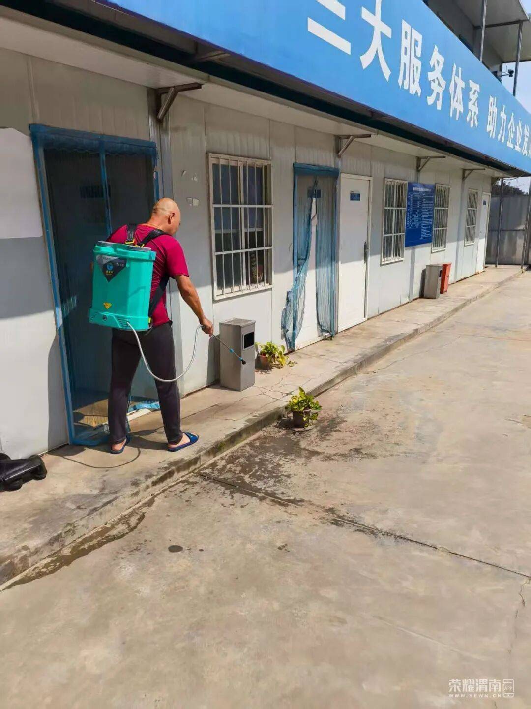 皇冠信用盘_西安多区发现隐翅虫？千万别拍皇冠信用盘！毒液堪比硫酸