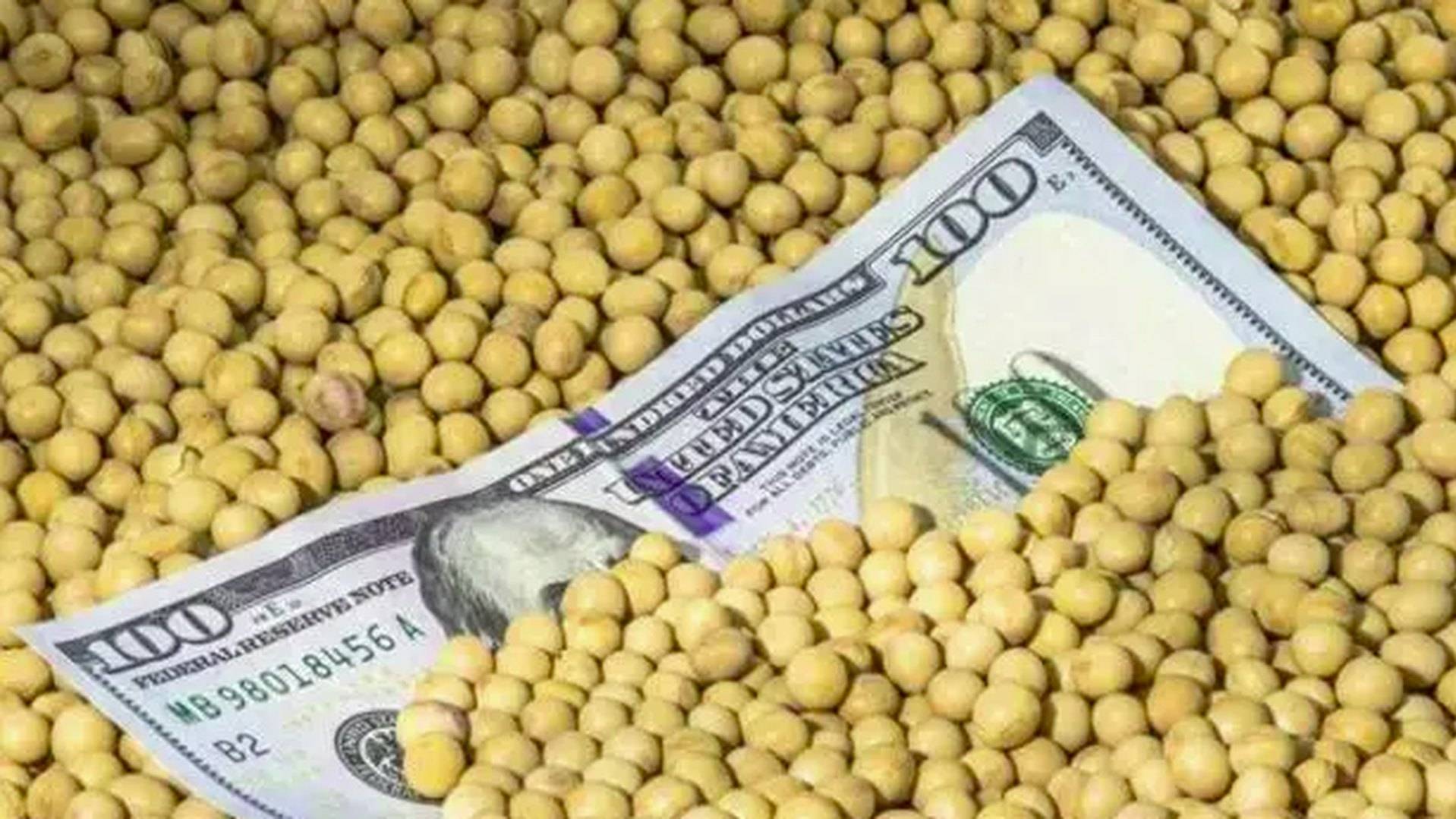 皇冠信用网足球代理_美国大使给中方发来通牒皇冠信用网足球代理，要求交出港口！美媒发现：中国采购美国大豆陷入停滞