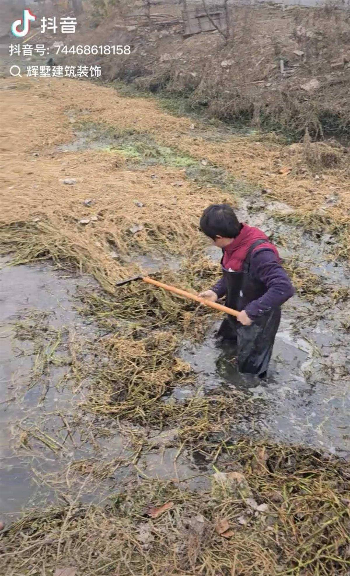 苏格兰超级联赛_大鹅主人抽水追凶最新进展来了:深刨半米淤泥啥也不见苏格兰超级联赛,或因厚草盖顶溺亡