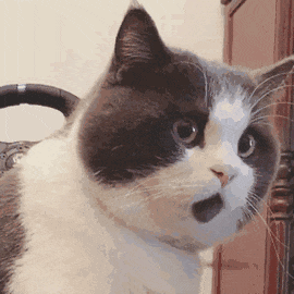 皇冠ag hga050
_冷冷冷皇冠ag hga050
!广东或将下雪!深圳气温降至……